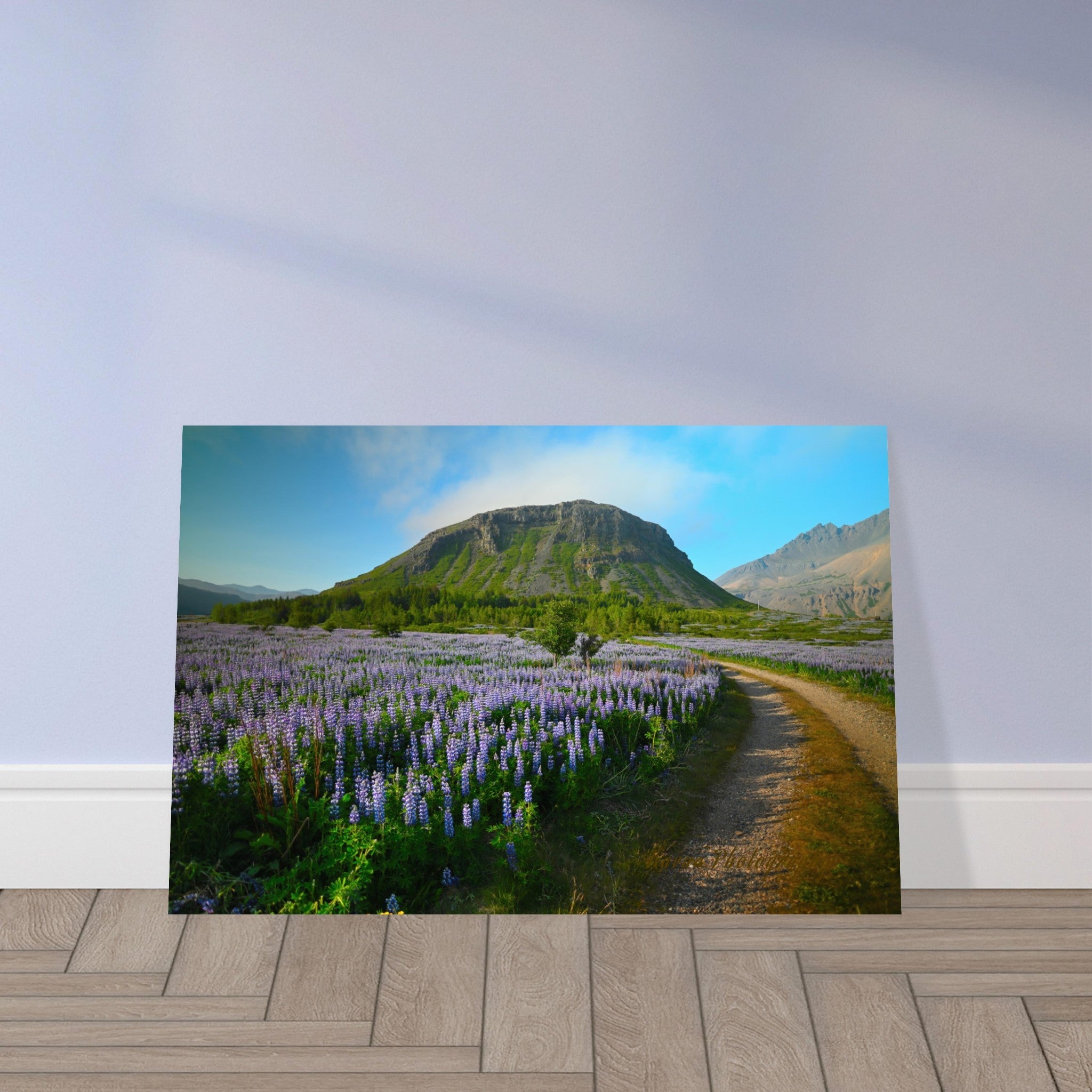 Aluminum Prints Kavua Photography Wall Art and Decor